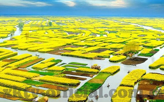 澳洲新加坡足球比分-澳洲VS新加坡，一场比分背后的足球文化与实力碰撞