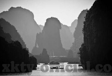 足球赛事比分-足球赛事比分，绿茵场上的数字交响曲